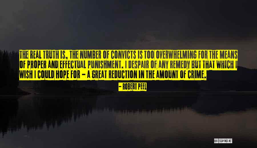 Crime And Punishment Quotes By Robert Peel