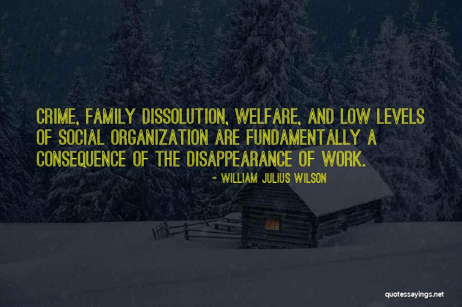 Crime Family Quotes By William Julius Wilson Crime Family Quotes By William Julius Wilson