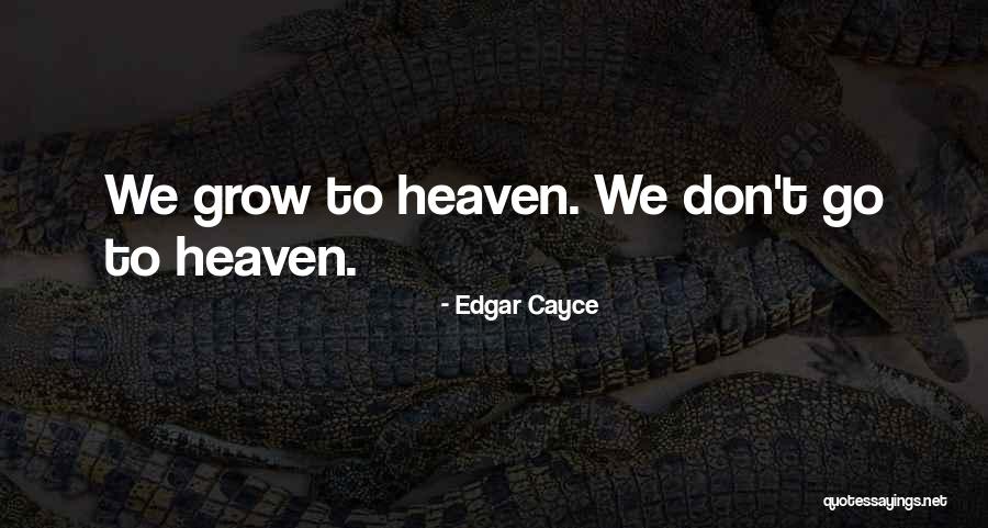 Crime Fighters Arcade Quotes By Edgar Cayce Crime Fighters Arcade Quotes By Edgar Cayce
