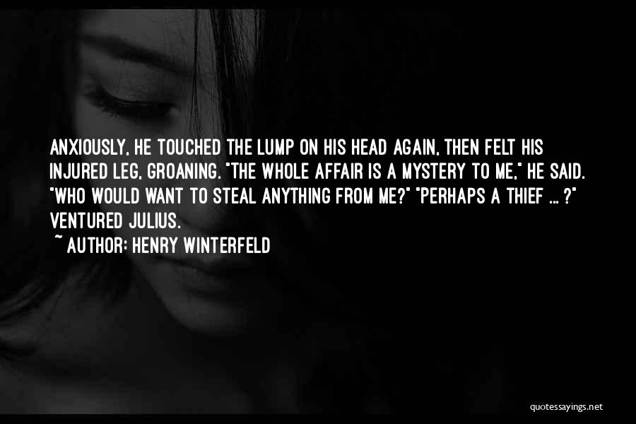 Crime Solving Quotes By Henry Winterfeld