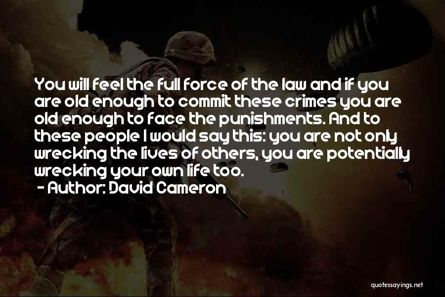 Crimes And Punishments Quotes By David Cameron