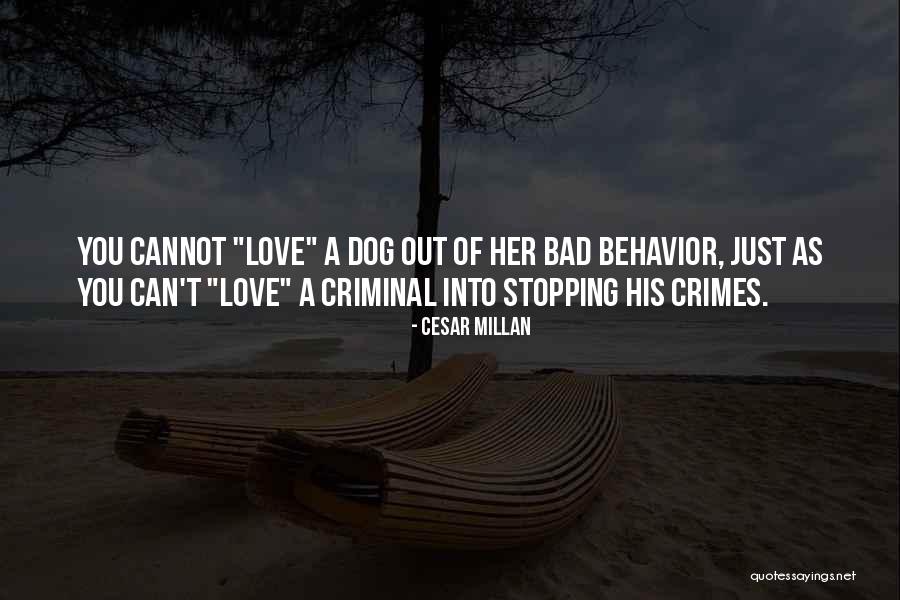 Crimes Of Love Quotes By Cesar Millan Crimes Of Love Quotes By Cesar Millan