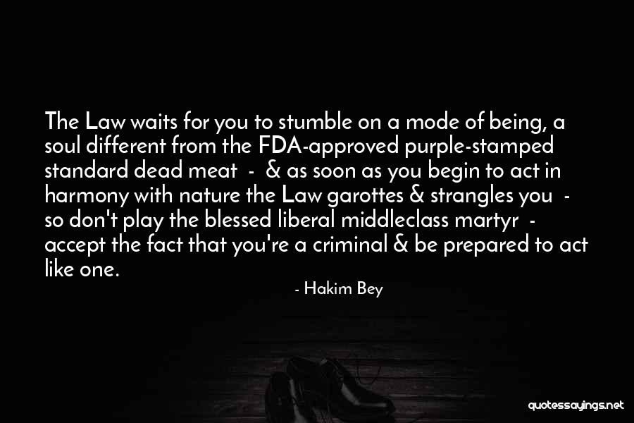 Criminal Act Quotes By Hakim Bey Criminal Act Quotes By Hakim Bey