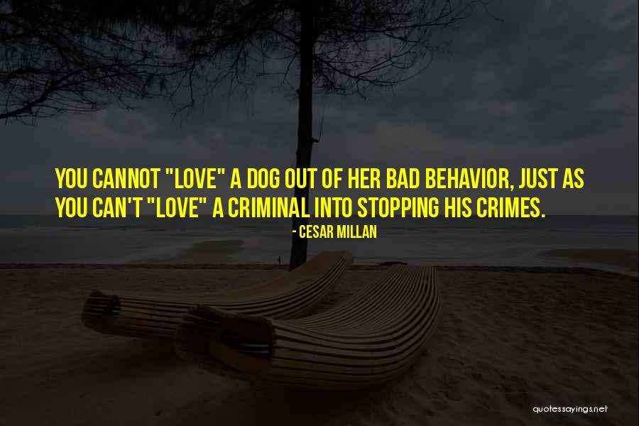 Criminal Behavior Quotes By Cesar Millan Criminal Behavior Quotes By Cesar Millan