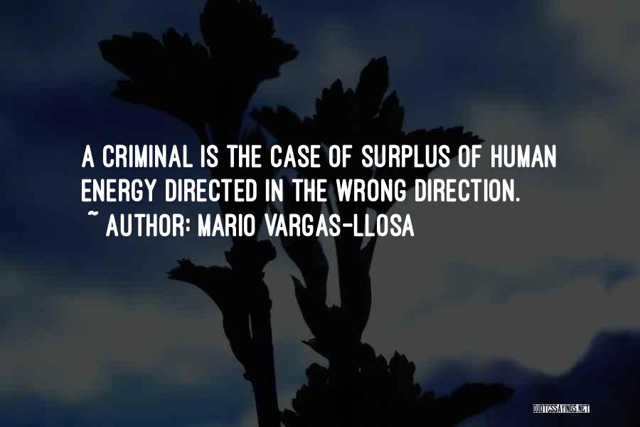 Criminal Case Quotes By Mario Vargas-Llosa