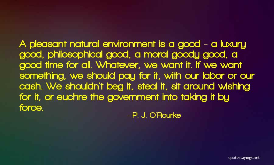 Criminal Minds Season Finale 2014 Quotes By P. J. O'Rourke Criminal Minds Season Finale 2014 Quotes By P. J. O'Rourke