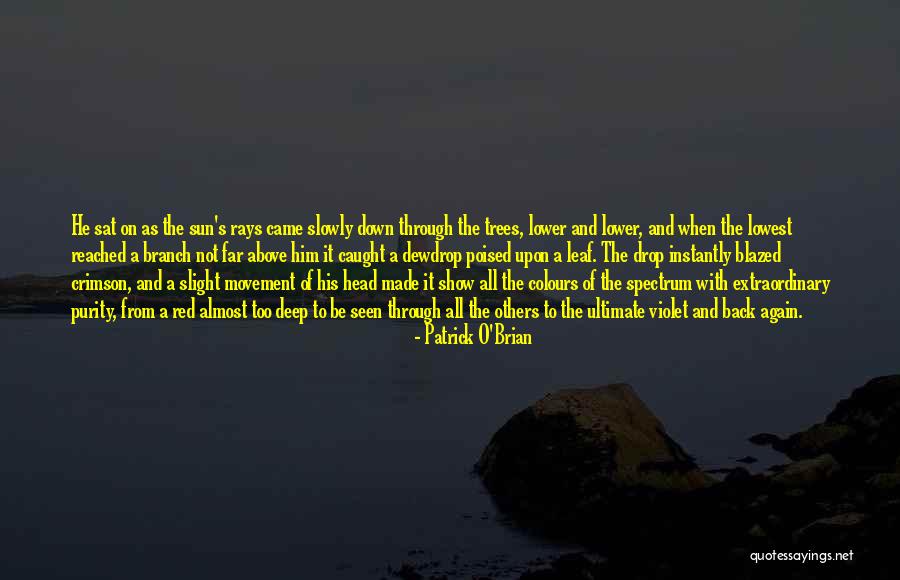 Crimson Red Quotes By Patrick O'Brian Crimson Red Quotes By Patrick O'Brian