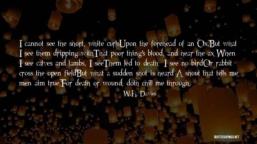 Crinley Vidowns Quotes By W.H. Davies Crinley Vidowns Quotes By W.H. Davies