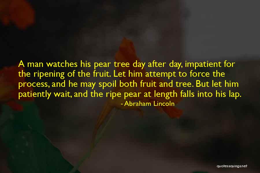 Criscamilli Quotes By Abraham Lincoln Criscamilli Quotes By Abraham Lincoln