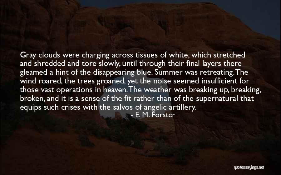 Crises In Quotes By E. M. Forster Crises In Quotes By E. M. Forster