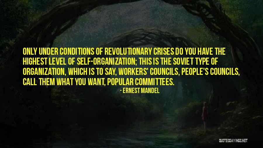 Crises Quotes By Ernest Mandel Crises Quotes By Ernest Mandel