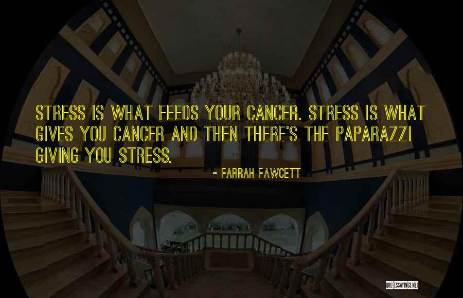 Crispado Definicion Quotes By Farrah Fawcett Crispado Definicion Quotes By Farrah Fawcett
