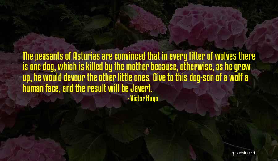 Cristalizado De Pisos Quotes By Victor Hugo Cristalizado De Pisos Quotes By Victor Hugo