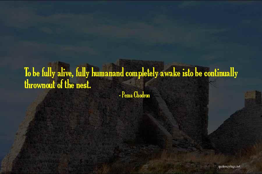 Cristiandad Significado Quotes By Pema Chodron Cristiandad Significado Quotes By Pema Chodron