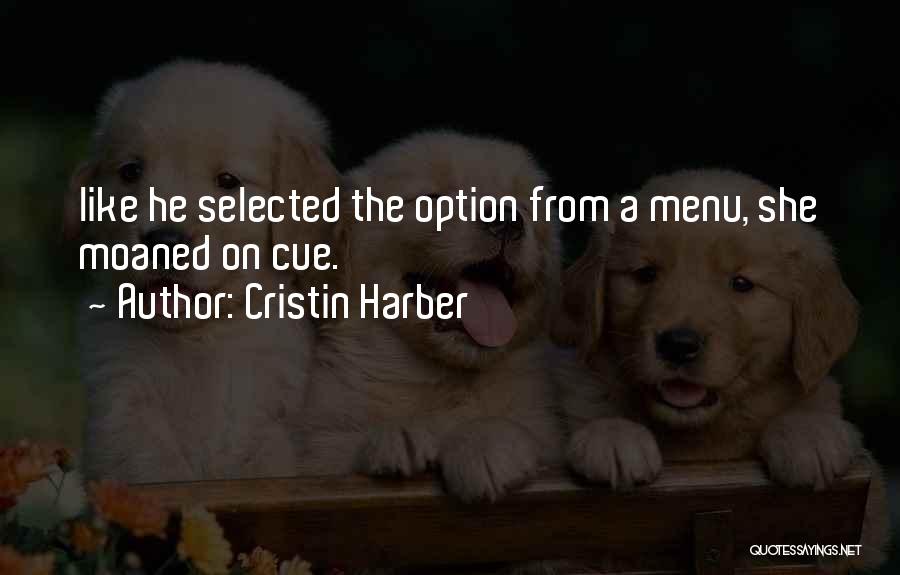 Cristin Harber Quotes 2029413