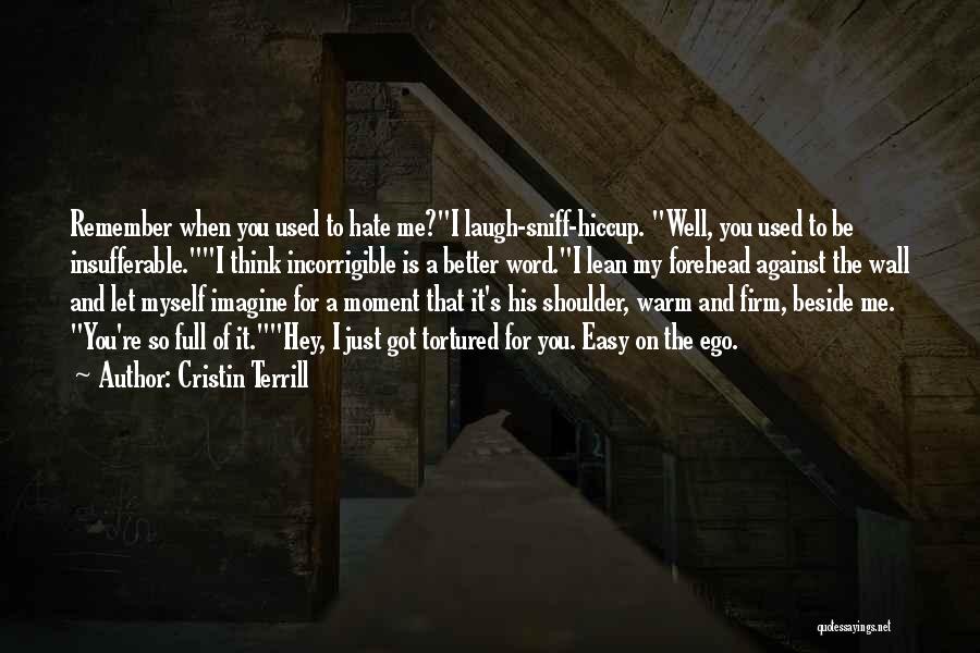 Cristin Terrill Quotes 927642