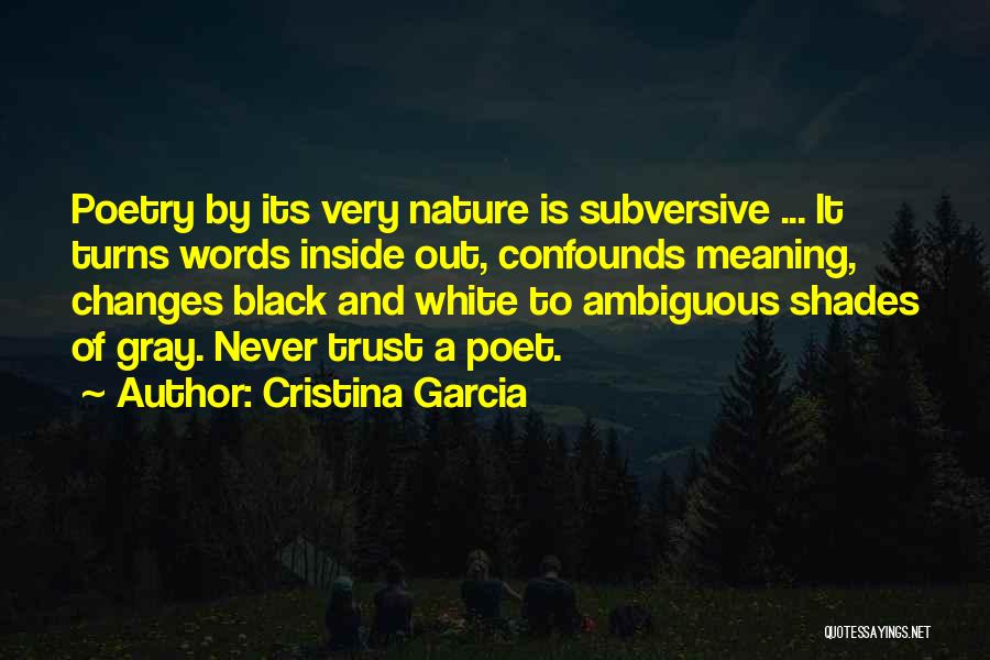 Cristina Garcia Quotes 1146242