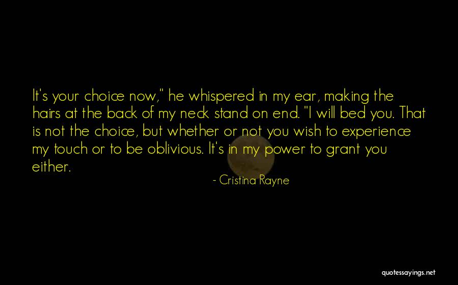 Cristina Rayne Quotes 1690813