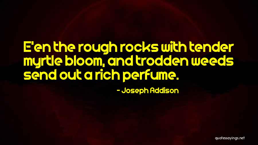 Cristonautas Quotes By Joseph Addison Cristonautas Quotes By Joseph Addison