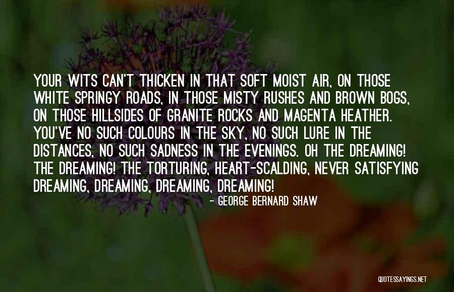 Critchley Reamers Quotes By George Bernard Shaw Critchley Reamers Quotes By George Bernard Shaw