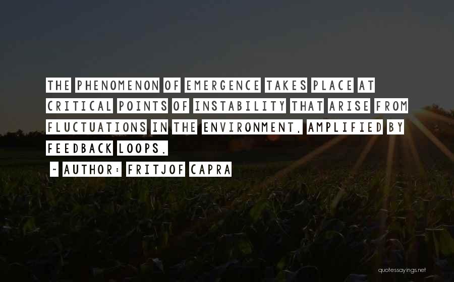 Critical Feedback Quotes By Fritjof Capra