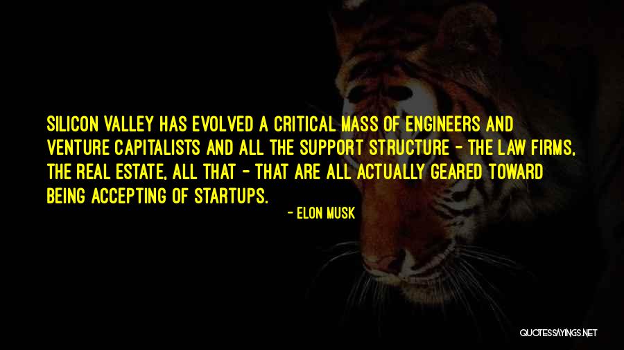 Critical Mass Quotes By Elon Musk