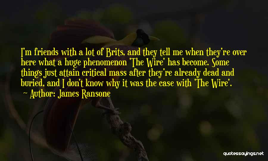Critical Mass Quotes By James Ransone