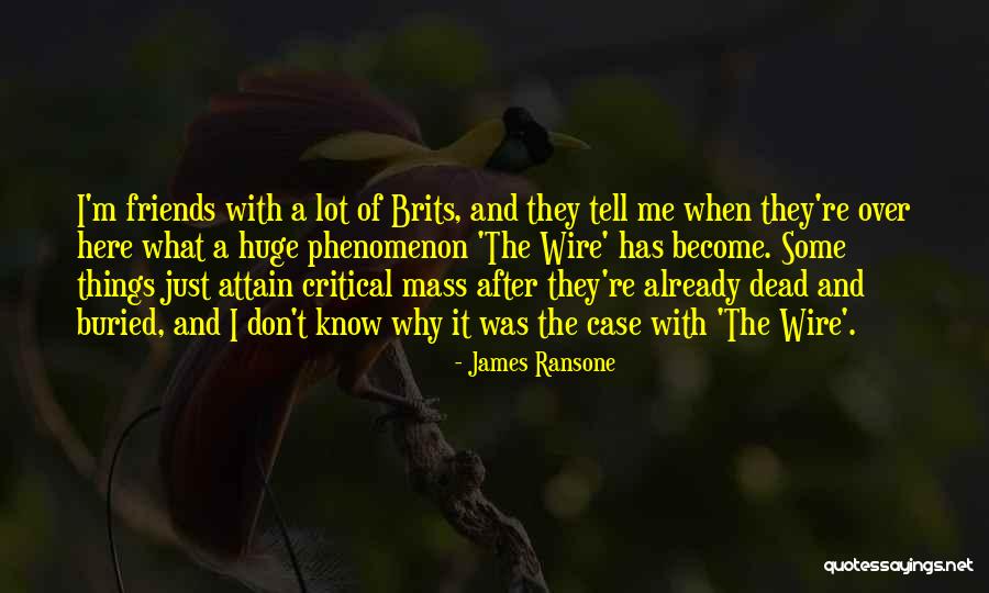 Critical Mass Quotes By James Ransone