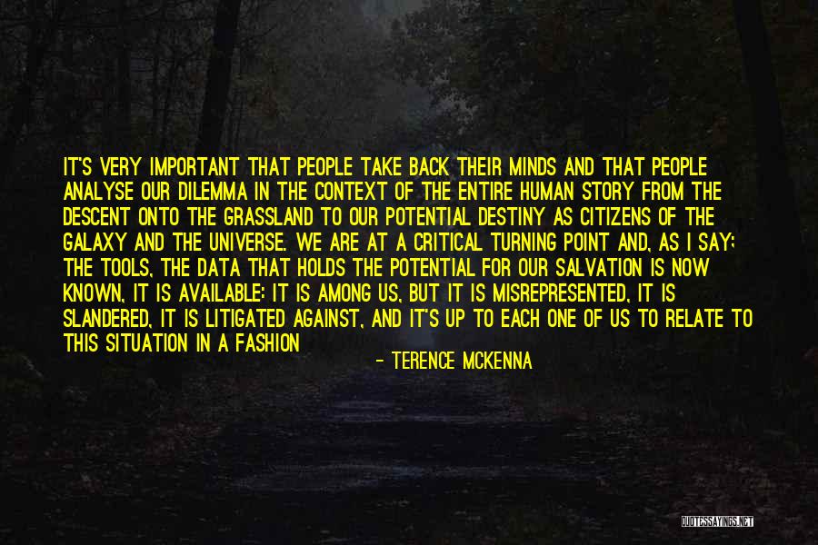 Critical Situation Quotes By Terence McKenna