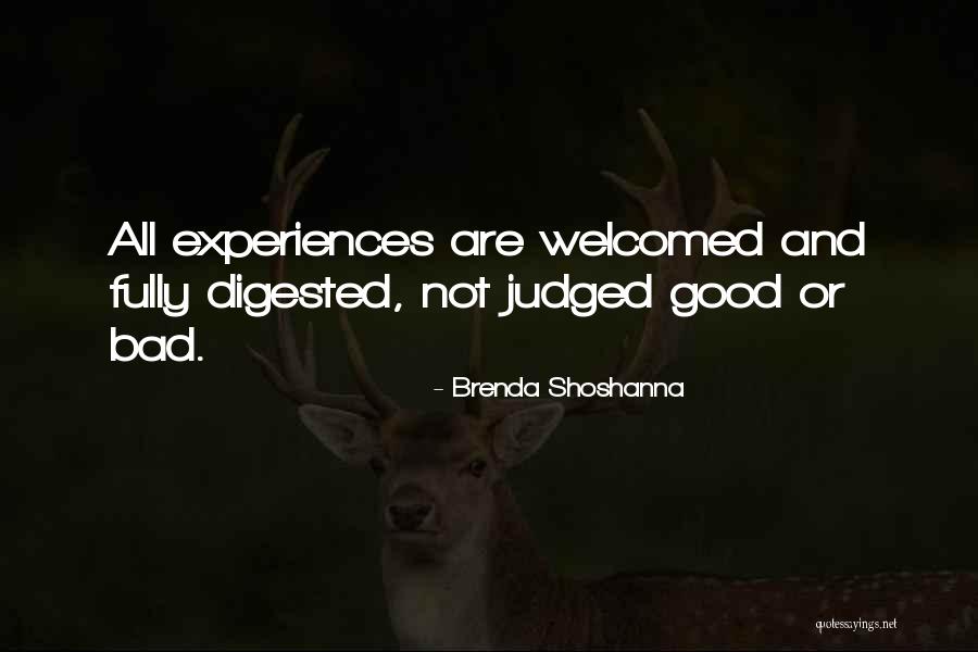 Criticilor Mei Quotes By Brenda Shoshanna Criticilor Mei Quotes By Brenda Shoshanna