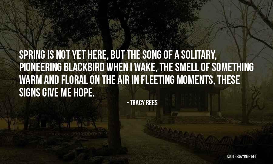 Criticises Or Criticizes Quotes By Tracy Rees Criticises Or Criticizes Quotes By Tracy Rees