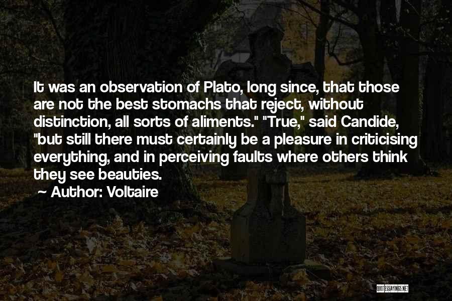 Criticising Others Quotes By Voltaire