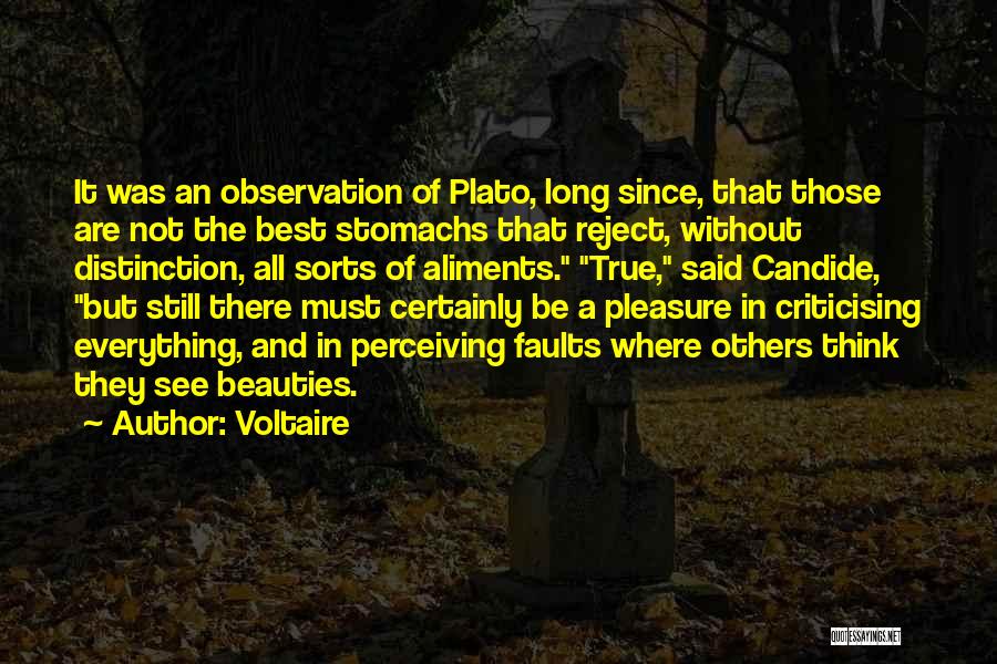 Criticising Yourself Quotes By Voltaire