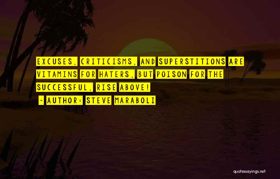 Criticism And Success Quotes By Steve Maraboli