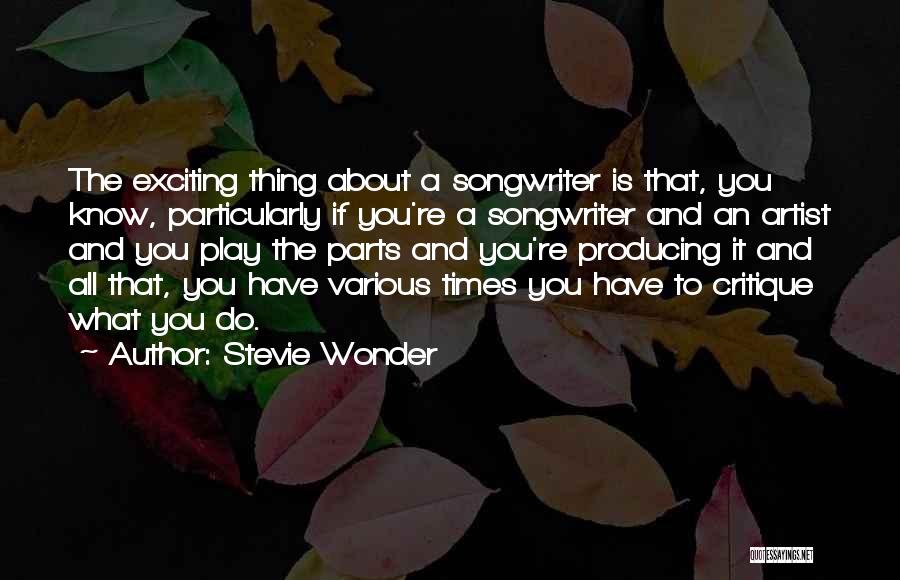 Critique Quotes By Stevie Wonder