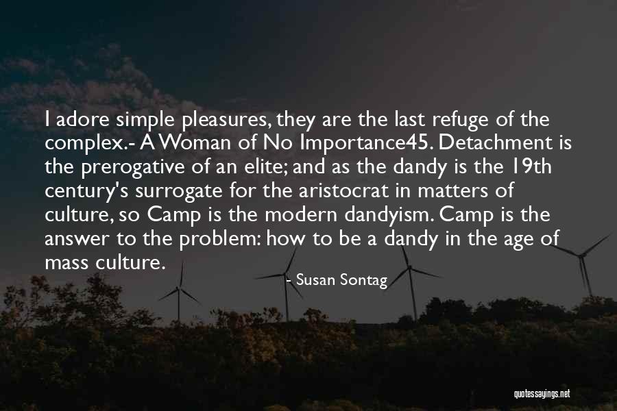 Critty Fairback Quotes By Susan Sontag Critty Fairback Quotes By Susan Sontag