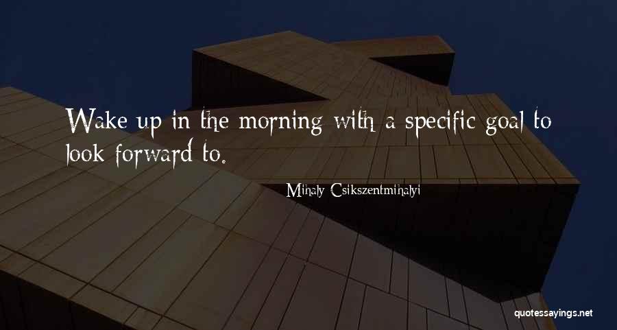 Crobuzons Quotes By Mihaly Csikszentmihalyi Crobuzons Quotes By Mihaly Csikszentmihalyi