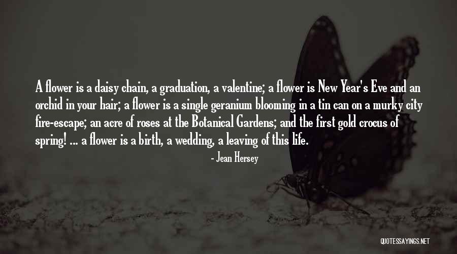 Crocus Flower Quotes By Jean Hersey Crocus Flower Quotes By Jean Hersey