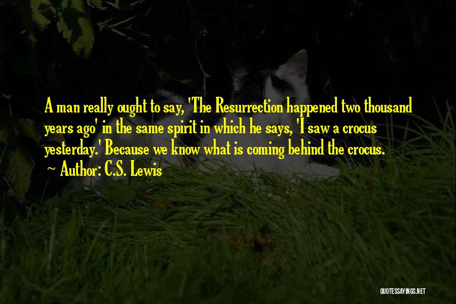 Crocus Quotes By C.S. Lewis