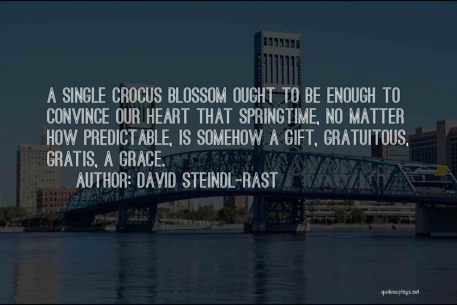 Crocus Quotes By David Steindl-Rast