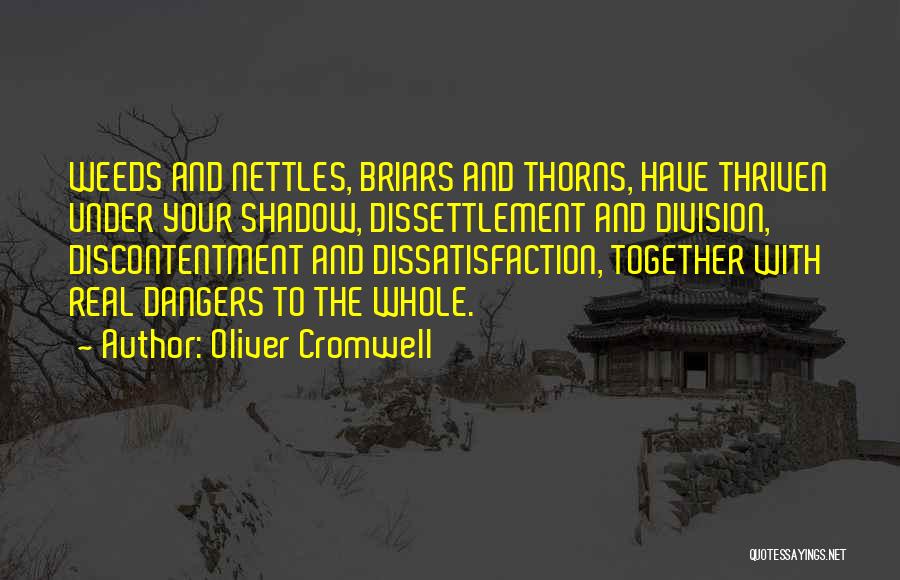 Cromwell Oliver Quotes By Oliver Cromwell