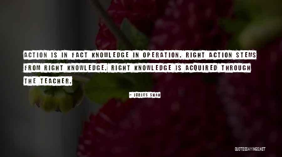 Cronenbergs Mask Quotes By Idries Shah Cronenbergs Mask Quotes By Idries Shah