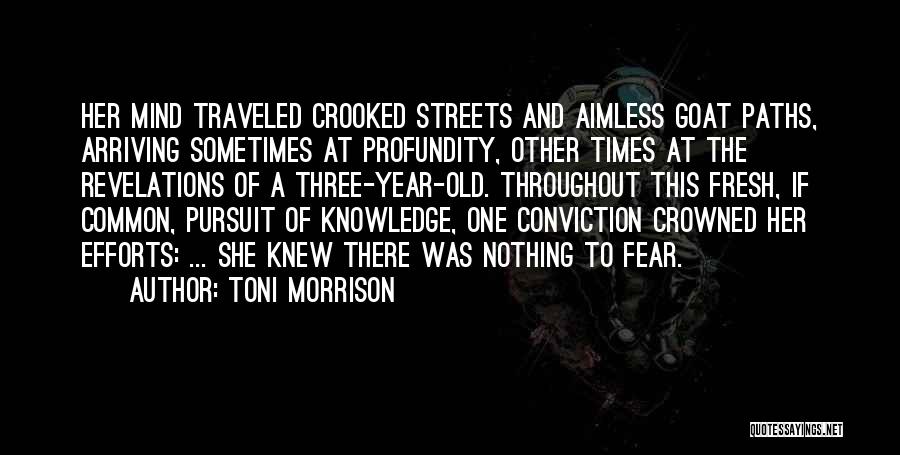 Crooked Mind Quotes By Toni Morrison