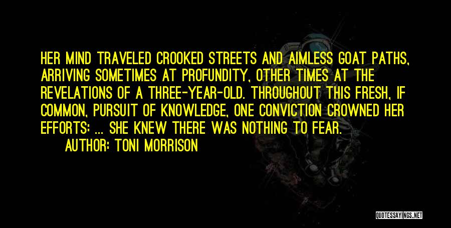 Crooked Paths Quotes By Toni Morrison