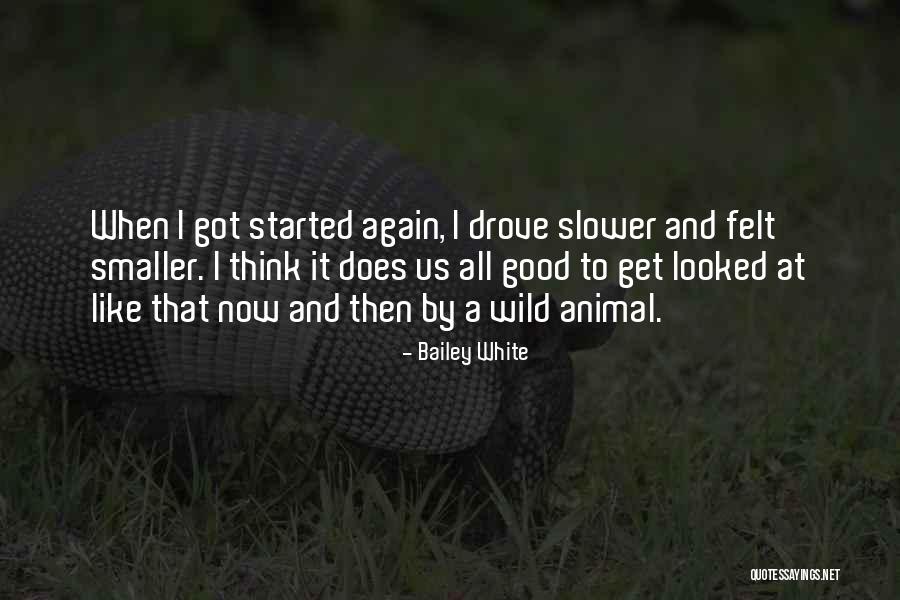 Crookedstar And Willowbreeze Quotes By Bailey White Crookedstar And Willowbreeze Quotes By Bailey White