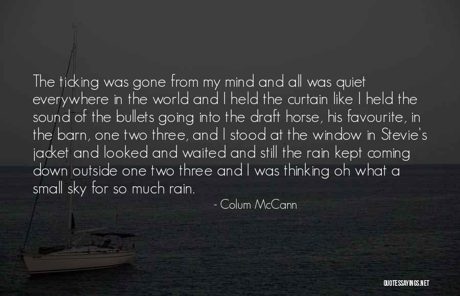 Croome Sanitation Quotes By Colum McCann Croome Sanitation Quotes By Colum McCann