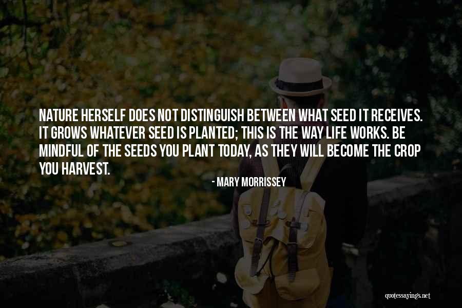 Crop Harvest Quotes By Mary Morrissey Crop Harvest Quotes By Mary Morrissey