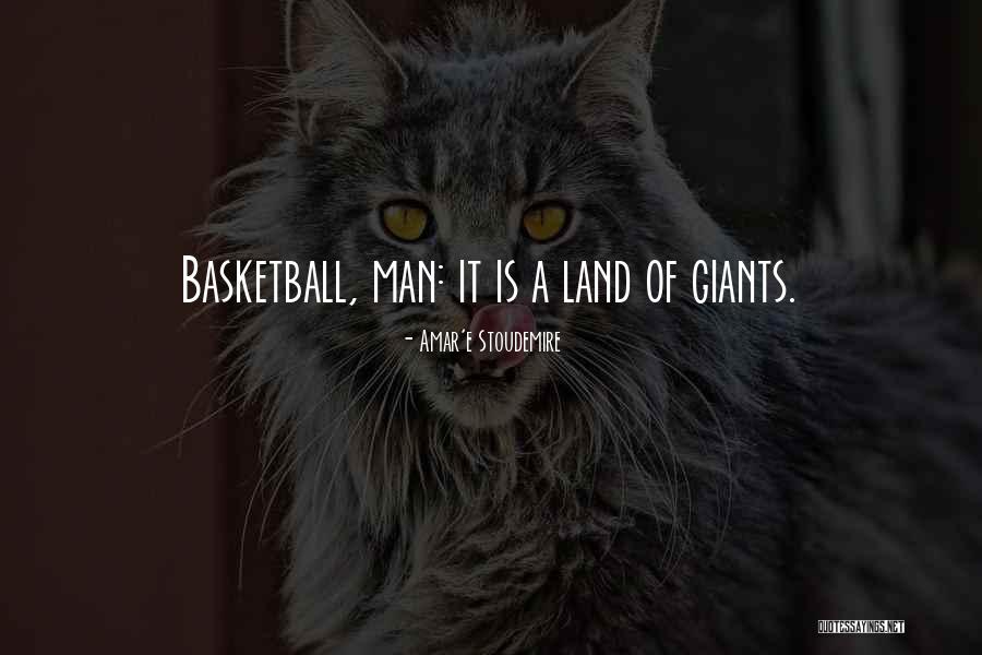 Crosby Stills Nash And Young Quotes By Amar'e Stoudemire