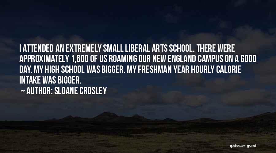 Crosley Quotes By Sloane Crosley