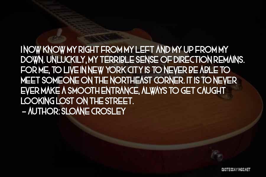 Crosley Quotes By Sloane Crosley